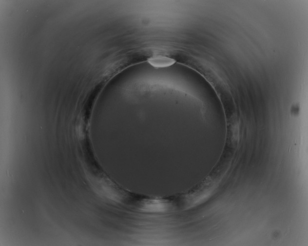 X0000102220316200807251217