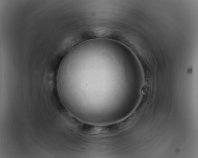 X0000102220319200807251217