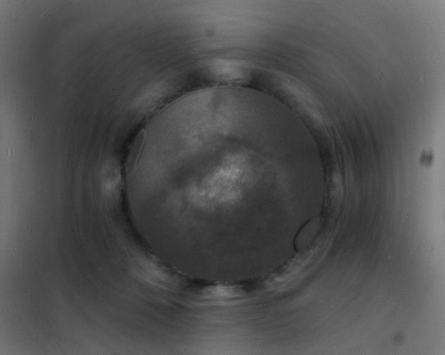 X0000102220320200807251217