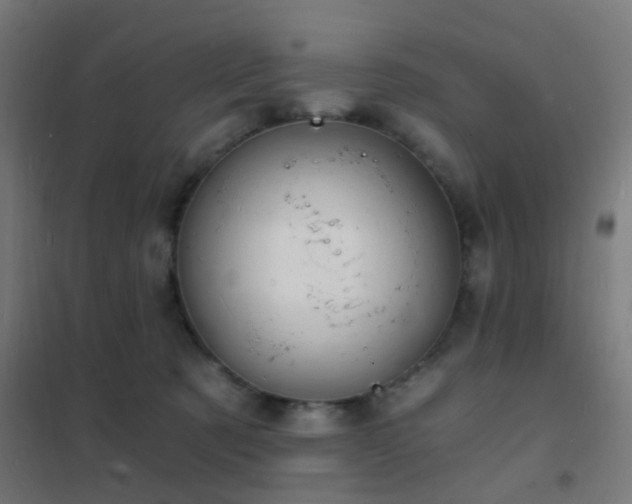 X0000102220321200807251217