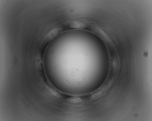 X0000102220322200807251217