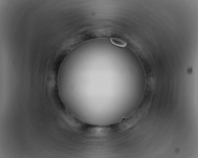 X0000102220323200807251217