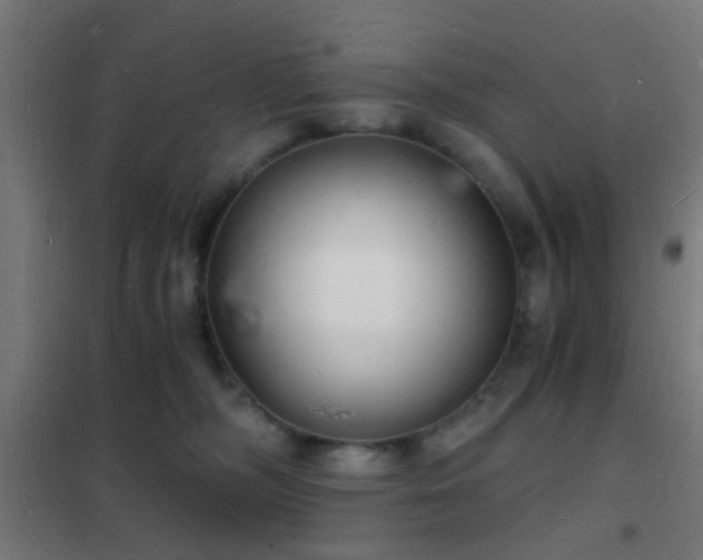 X0000102220326200807251217