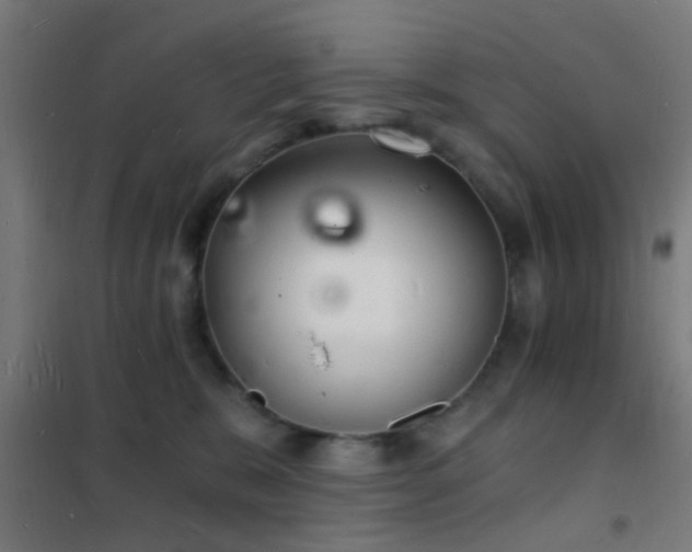 X0000102220327200807251217