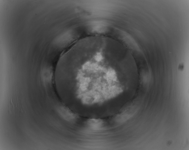 X0000102220328200807251217