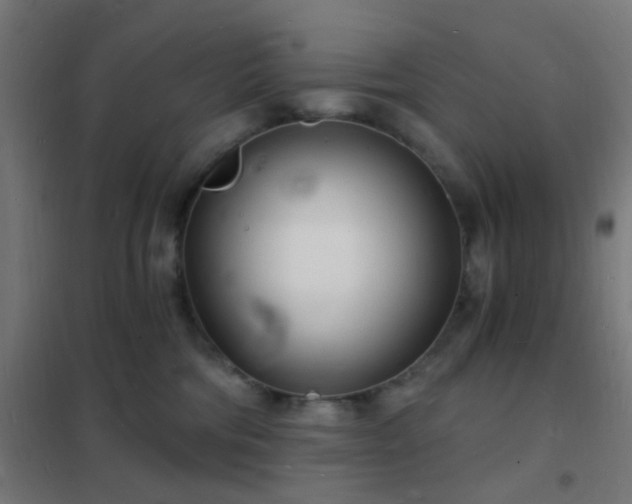 X0000102220330200807251217