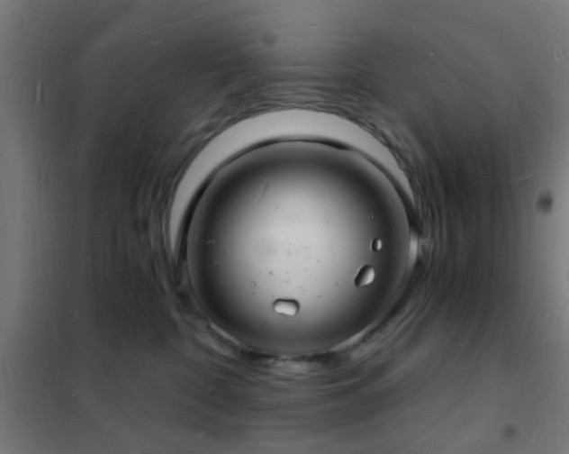 X0000102220332200807251217