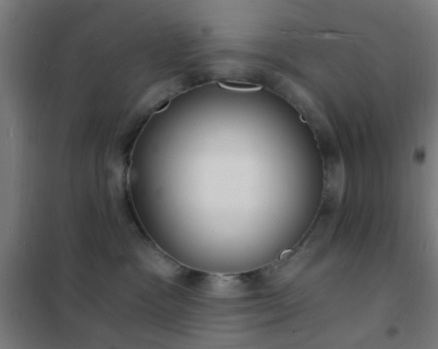 X0000102220333200807251217