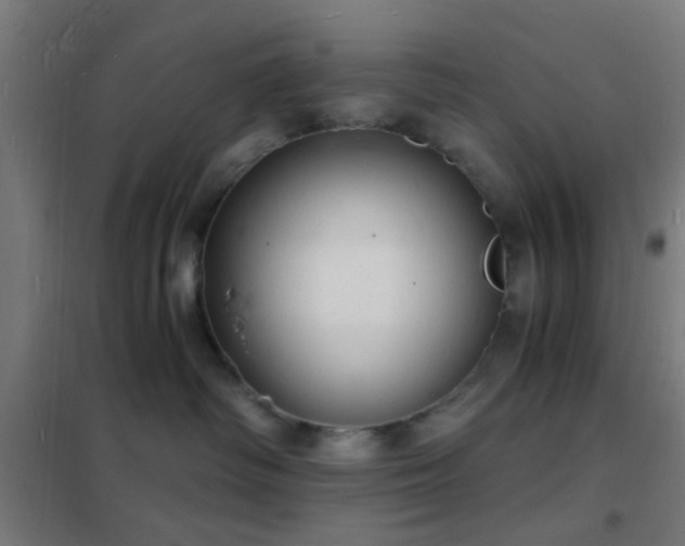 X0000102220334200807251217