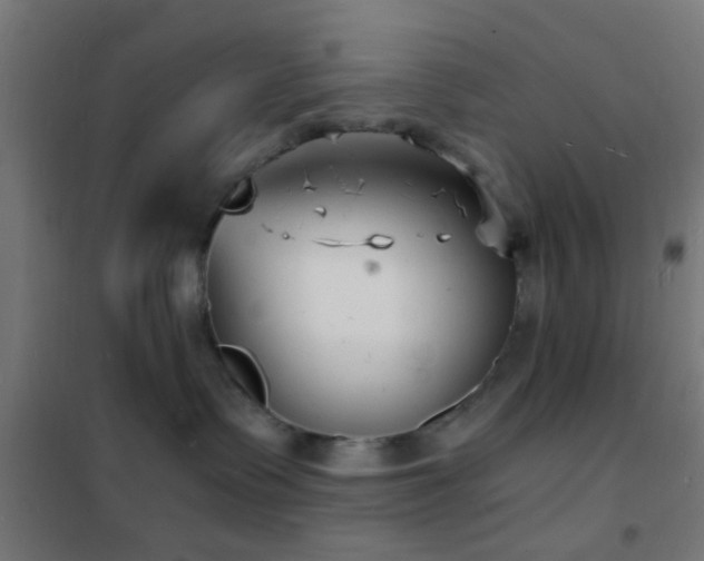 X0000102220335200807251217