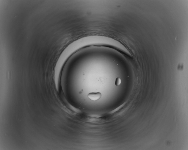 X0000102220336200807251217