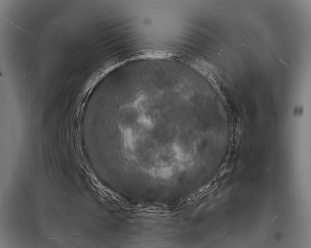 X0000102220337200807251216