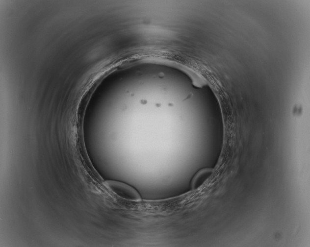 X0000102220338200807251216