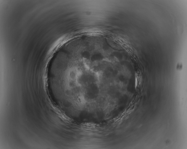 X0000102220339200807251216