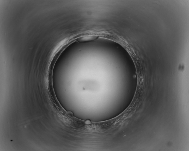 X0000102220340200807251216