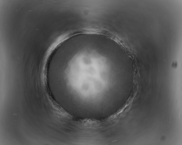 X0000102220343200807251216