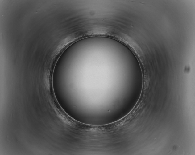 X0000102220345200807251216