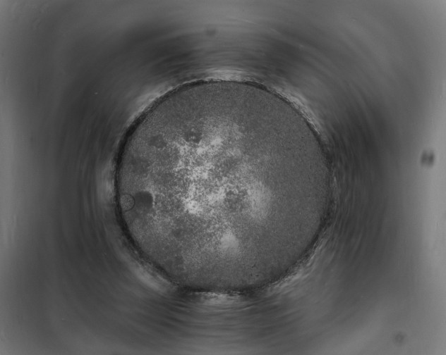 X0000102220347200807251216