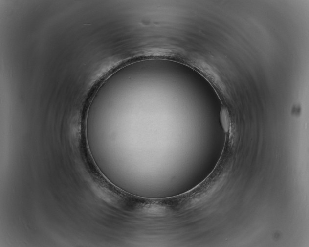 X0000102220348200807251216