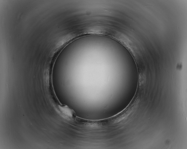 X0000102220349200807251216