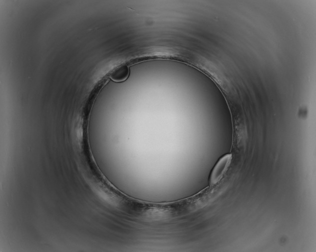 X0000102220350200807251216