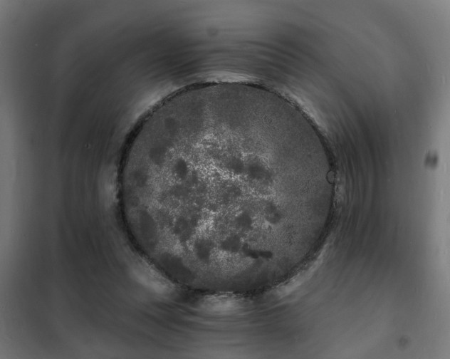 X0000102220351200807251216