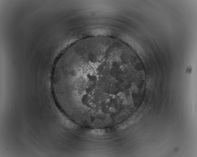 X0000102220353200807251216