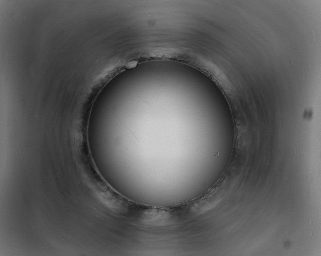 X0000102220354200807251216