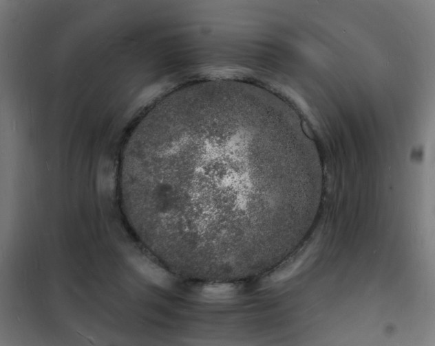 X0000102220357200807251216