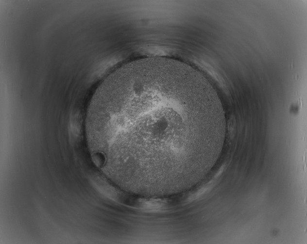 X0000102220359200807251216