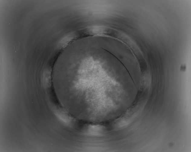 X0000102220360200807251216