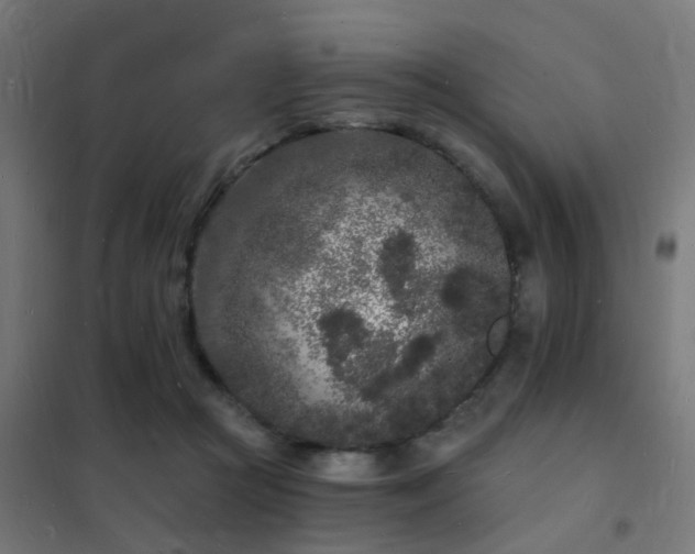 X0000102220361200807251216