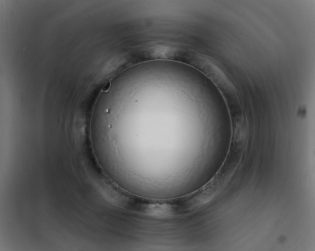 X0000102220363200807251216