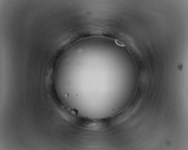 X0000102220364200807251216