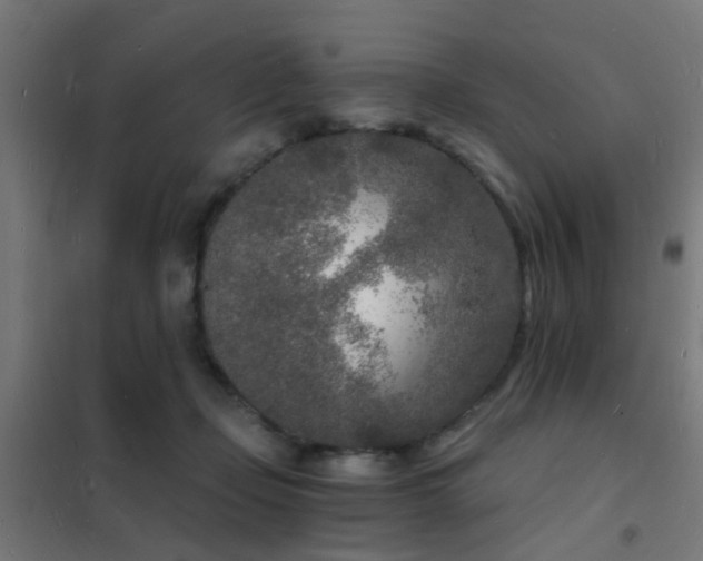 X0000102220365200807251216