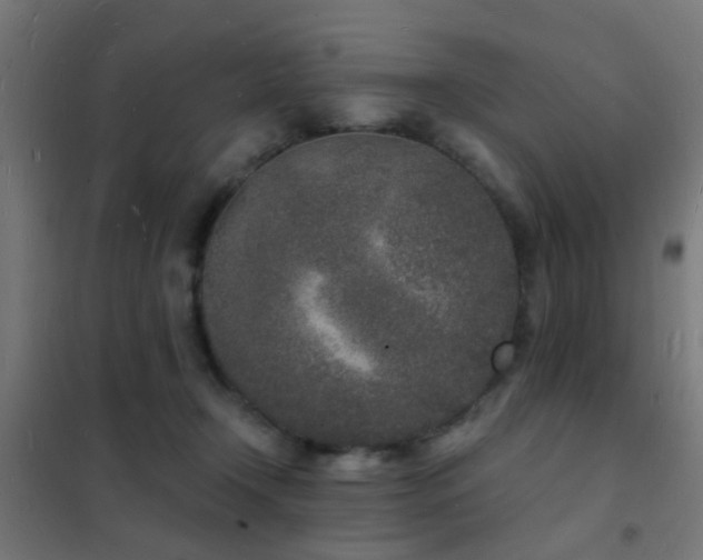 X0000102220366200807251216