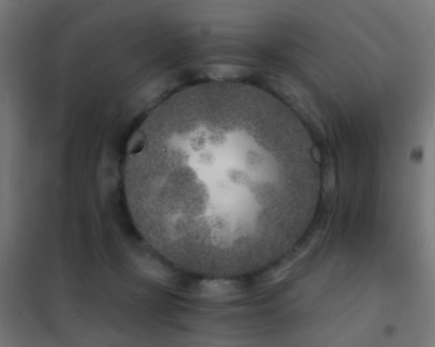 X0000102220367200807251216