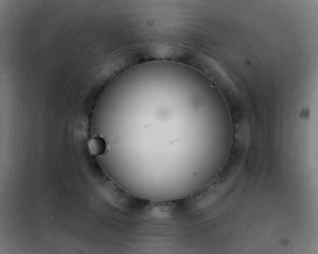 X0000102220368200807251216