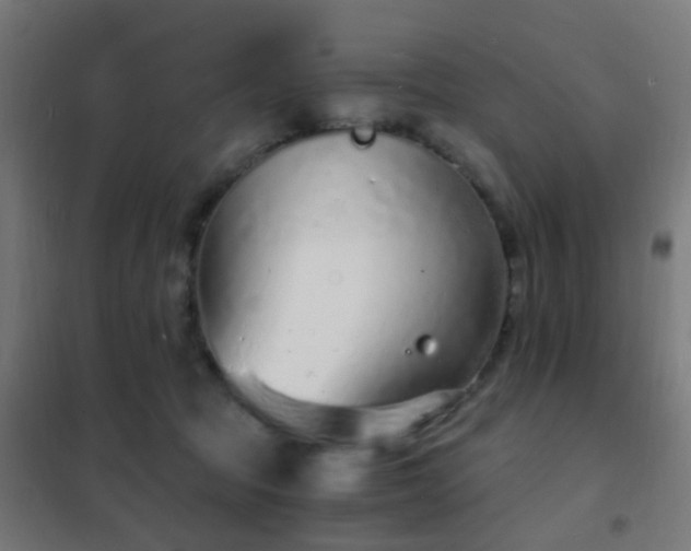 X0000102220369200807251216