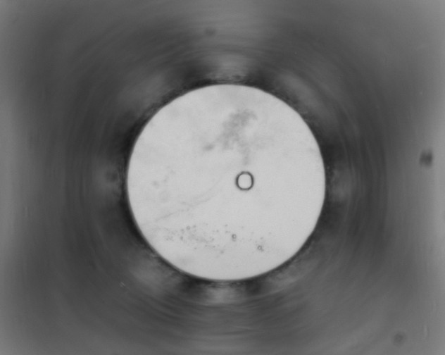 X0000102220370200807251216