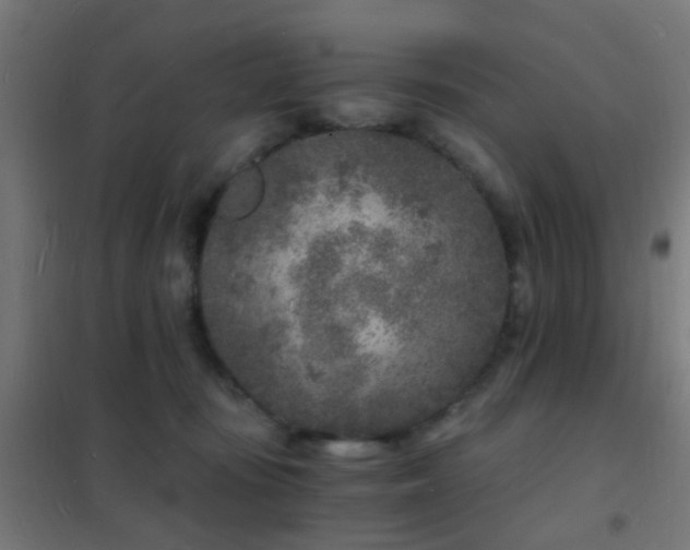 X0000102220371200807251216