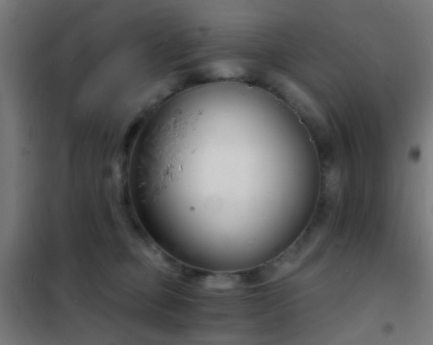 X0000102220373200807251216