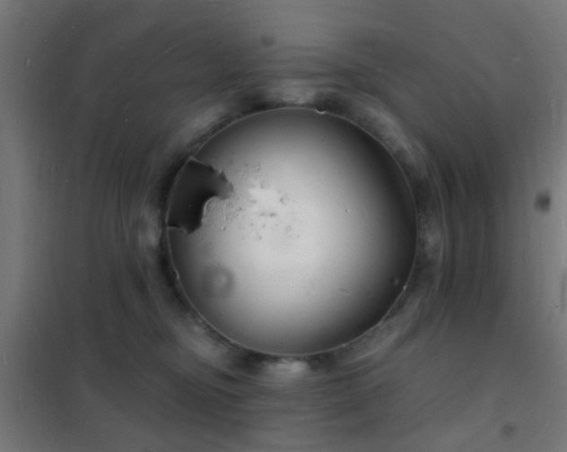 X0000102220374200807251216