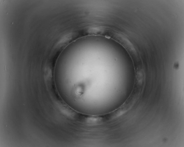 X0000102220375200807251216