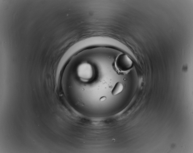 X0000102220376200807251216