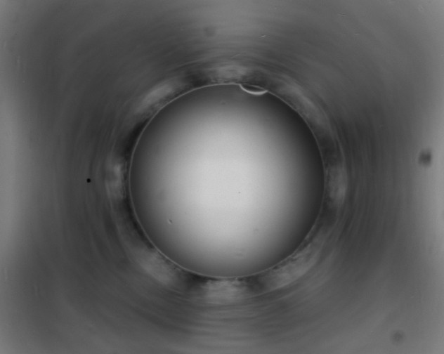 X0000102220378200807251216