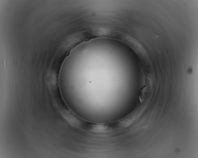 X0000102220380200807251216