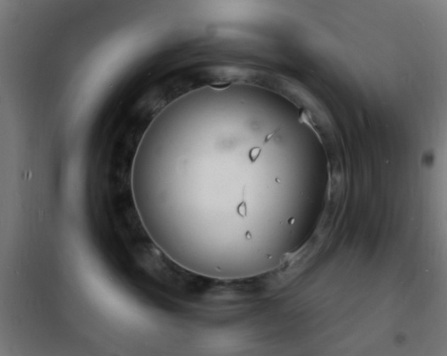 X0000102220381200807251216