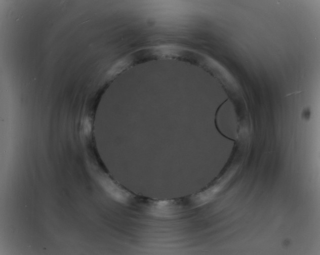 X0000102220382200807251217