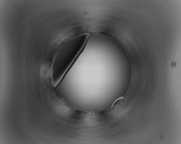 X0000102220384200807251217